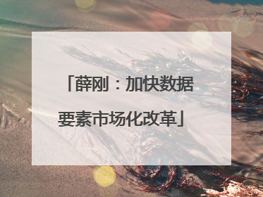 薛刚：加快数据要素市场化改革