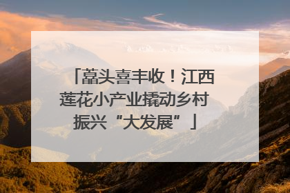 藠头喜丰收！江西莲花小产业撬动乡村振兴“大发展”