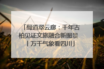 蜀道翠云廊：千年古柏见证文旅融合新图景丨万千气象看四川