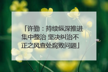 许勤：持续纵深推进集中整治 坚决纠治不正之风查处腐败问题
