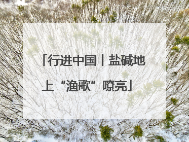 行进中国丨盐碱地上“渔歌”嘹亮