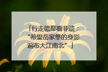 行走赣鄱看非遗：“希望岳家拳的身影遍布大江南北”
