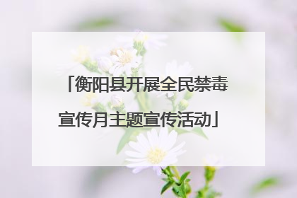 衡阳县开展全民禁毒宣传月主题宣传活动