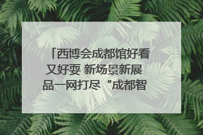 西博会成都馆好看又好耍 新场景新展品一网打尽“成都智造”｜西博视界