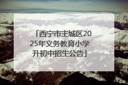 西宁市主城区2025年义务教育小学升初中招生公告