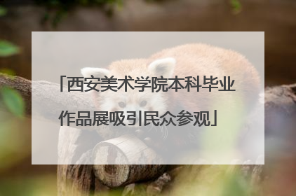西安美术学院本科毕业作品展吸引民众参观