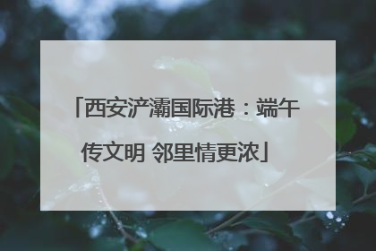 西安浐灞国际港：端午传文明 邻里情更浓
