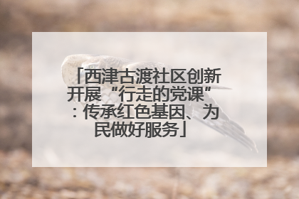 西津古渡社区创新开展“行走的党课”：传承红色基因、为民做好服务