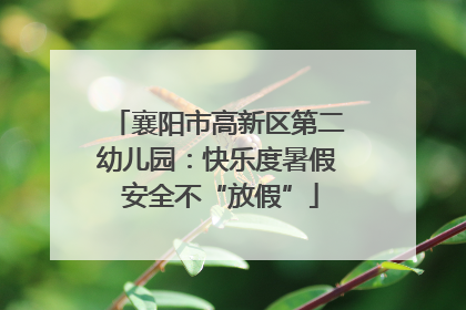 襄阳市高新区第二幼儿园：快乐度暑假 安全不“放假”