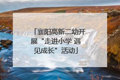 襄阳高新二幼开展“走进小学 遇见成长”活动