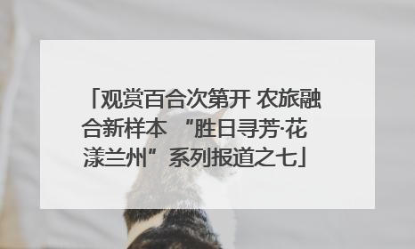 观赏百合次第开 农旅融合新样本 “胜日寻芳·花漾兰州”系列报道之七