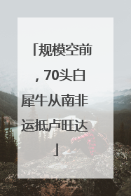 规模空前，70头白犀牛从南非运抵卢旺达