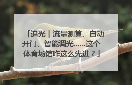 追光｜流量测算、自动开门、智能调光……这个体育场馆咋这么先进？