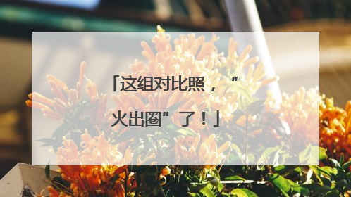这组对比照，“火出圈”了！