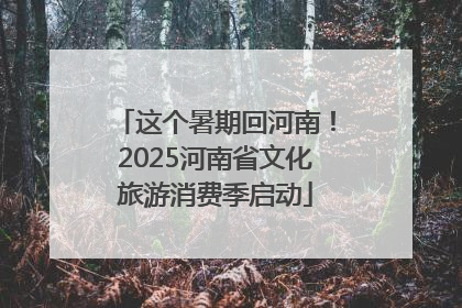 这个暑期回河南！2025河南省文化旅游消费季启动