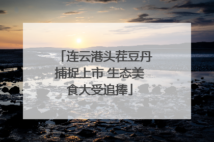 连云港头茬豆丹捕捉上市 生态美食大受追捧