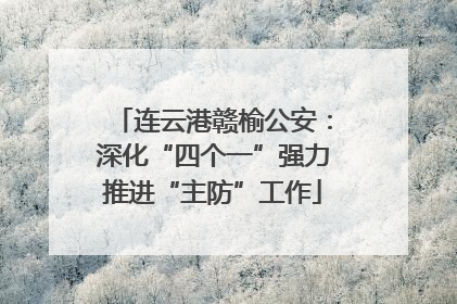 连云港赣榆公安：深化“四个一”强力推进“主防”工作