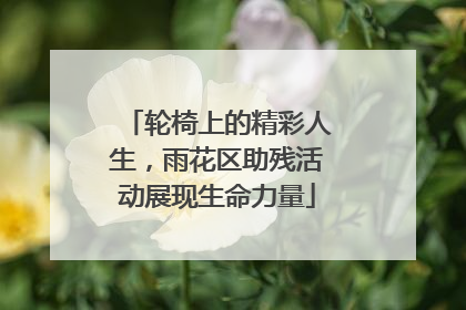 轮椅上的精彩人生，雨花区助残活动展现生命力量