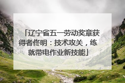辽宁省五一劳动奖章获得者佟明：技术攻关，练就带电作业新技能