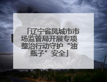 辽宁省凤城市市场监管局开展专项整治行动守护“油瓶子”安全