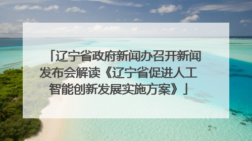 辽宁省政府新闻办召开新闻发布会解读《辽宁省促进人工智能创新发展实施方案》