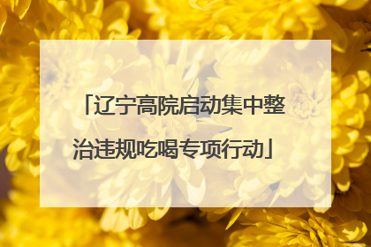 辽宁高院启动集中整治违规吃喝专项行动
