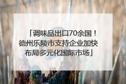 调味品出口70余国！德州乐陵市支持企业加快布局多元化国际市场