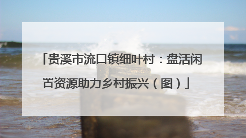 贵溪市流口镇细叶村：盘活闲置资源助力乡村振兴（图）