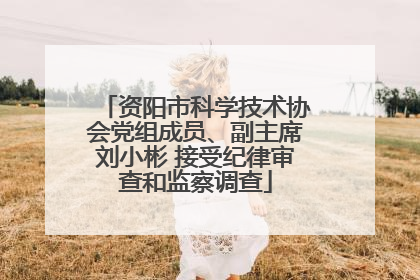 资阳市科学技术协会党组成员、副主席刘小彬 接受纪律审查和监察调查