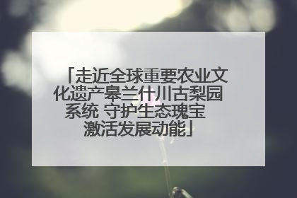 走近全球重要农业文化遗产皋兰什川古梨园系统 守护生态瑰宝 激活发展动能