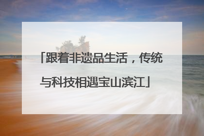 跟着非遗品生活，传统与科技相遇宝山滨江
