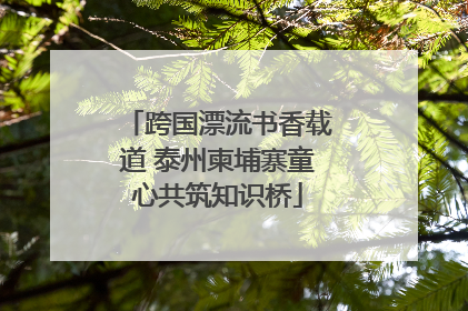 跨国漂流书香载道 泰州柬埔寨童心共筑知识桥