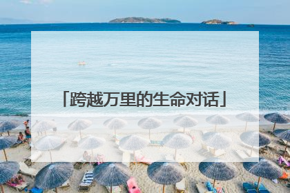 跨越万里的生命对话