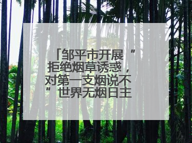 邹平市开展“拒绝烟草诱惑，对第一支烟说不”世界无烟日主题宣传活动