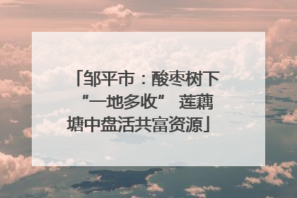 邹平市：酸枣树下“一地多收” 莲藕塘中盘活共富资源