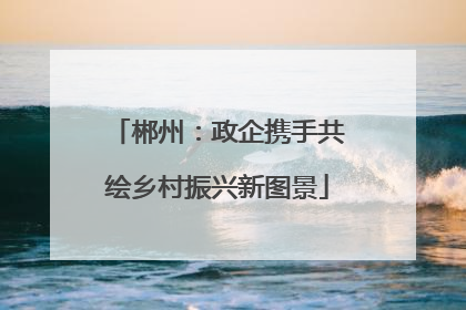 郴州：政企携手共绘乡村振兴新图景