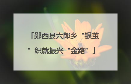 郧西县六郎乡“银茧”织就振兴“金路”