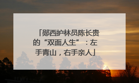郧西护林员陈长贵的“双面人生”：左手青山，右手亲人