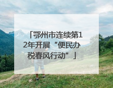鄂州市连续第12年开展“便民办税春风行动”