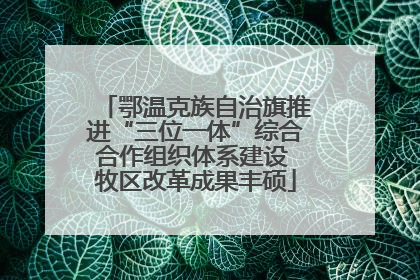鄂温克族自治旗推进“三位一体”综合合作组织体系建设 牧区改革成果丰硕