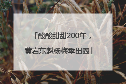 酸酸甜甜200年，黄岩东魁杨梅季出圈