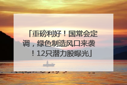 重磅利好！国常会定调，绿色制造风口来袭！12只潜力股曝光