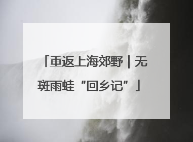 重返上海郊野｜无斑雨蛙“回乡记”