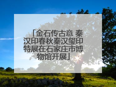 金石传古意 秦汉印春秋秦汉玺印特展在石家庄市博物馆开展