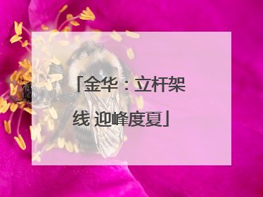 金华：立杆架线 迎峰度夏