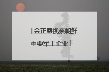 金正恩视察朝鲜重要军工企业