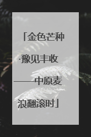 金色芒种·豫见丰收——中原麦浪翻滚时