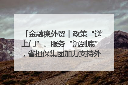 金融稳外贸｜政策“送上门”、服务“沉到底”，省担保集团加力支持外经贸高质量发展