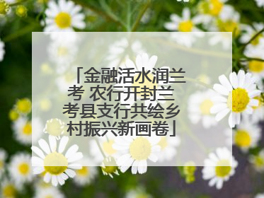 金融活水润兰考 农行开封兰考县支行共绘乡村振兴新画卷