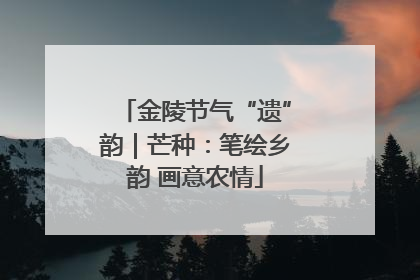 金陵节气“遗”韵｜芒种：笔绘乡韵 画意农情